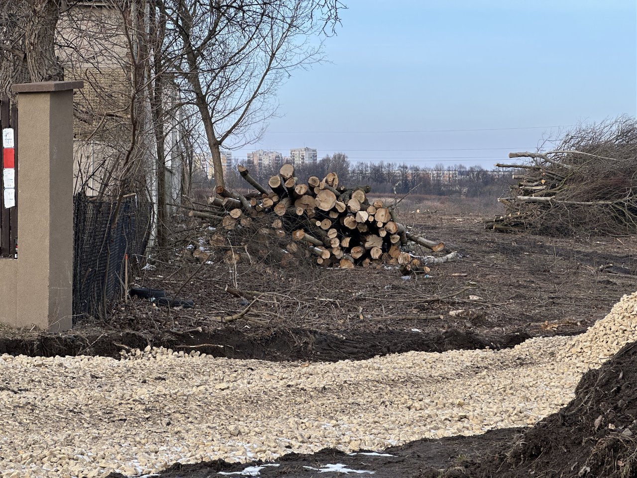 Wycinka drzew przy Promenadzie Czesława Niemena. Mieszkańcy pytają o nową inwestycję